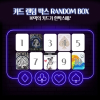 [초특가이벤트]카드10덱 랜덤박스세트