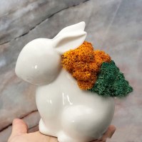 공기정화식물 스칸디아모스 투톤 토끼 화분 모스 4types