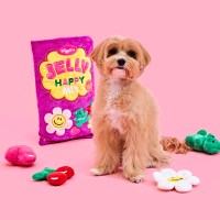 [위글위글] 노즈워크 장난감 - Jelly Happy Mix
