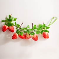 딸기 넝쿨 조화 한 줄