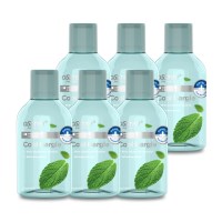 오스템 쿨가글 쿨민트향 250ml x6개
