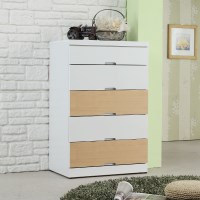 [로쏘]로티 5단 서랍장