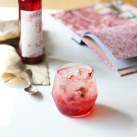 다솔 벚꽃 시럽 벚꽃청