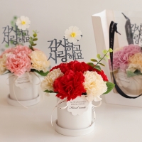 메르시 비누꽃 카네이션 로즈 화분 세트