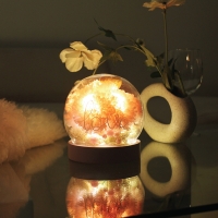 그레이스 핑크 카네이션 유리돔 LED무드등