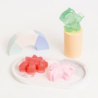 DIY 왕공룡 수제 비누 만들기 키트, 2개 완성