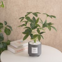 대형 홍콩야자 조화 화분 도자기 set 50cm 인테리어 조경 장식