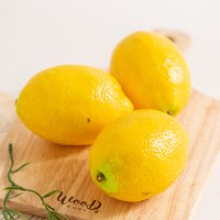 묵직한 레몬 모형 1P