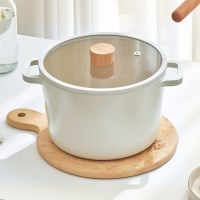 클리나 루아 IH 인덕션 곰솥냄비 22cm