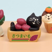 concombre 고구마상자 고양이