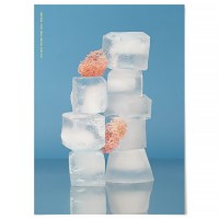 패브릭 여름 포스터 주방 액자 아트 포스터 Ice