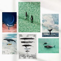 물 그림 고래 패브릭 포스터 바다 액자 일러스트 포스터