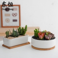 살림의발견 도자기 원목받침 다육이 화분 1+1 세트