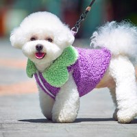 가지 당근 조끼 하네스 강아지 양털 겨울 아우터 애견 의류