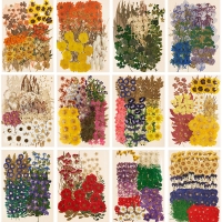 대만압화 대용량 압화꽃모음 18종 압화공예 레진아트 청첩장액자