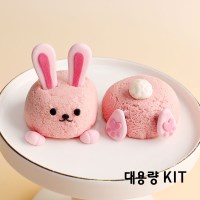 신년 행복 토끼 쌀카롱 20개 만들기 DIY 대용량 키트 쌀이랑놀자