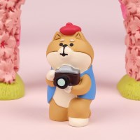 concombre 추억 카메라맨 강아지