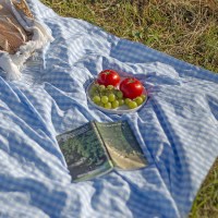 블루 체크  피크닉 매트