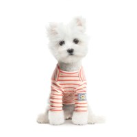 봄 스트라이프 티셔츠 [ 오렌지 ]