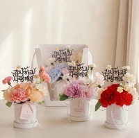 제인 비누꽃 카네이션 로즈 화분 세트