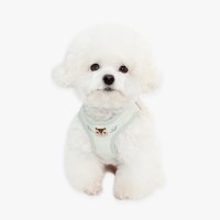 오가닉 다람이 하네스 (민트)