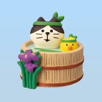 concombre 창포물 고양이