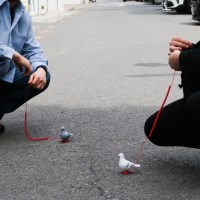 반려 비둘기 세트 애완 인형 [움직이는 쓸데없는 장난감 태엽]