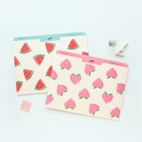 [공장x여름문구사] Summer file A5