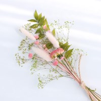 petit 미니믹스_pink+green