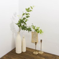 둔떼 클레마티스 부쉬