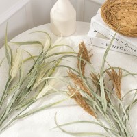 둔떼 밀 조화 2color