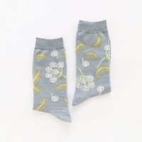 SOCKS / PARSLEY