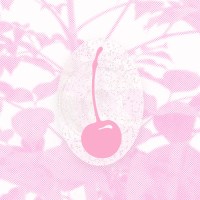 cherry on top tok (pink)