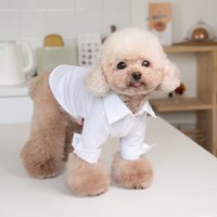 유앤펫 강아지옷 퓨어 화이트 셔츠 블라우스(S~3XL)