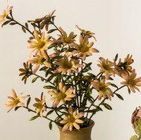 둔떼 가을데이지 가지