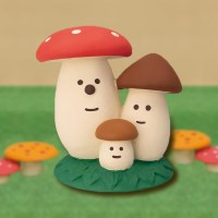 concombre 패밀리 버섯