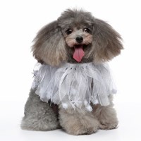 [ PET ] 페어리넥케이프 - 실버스노우