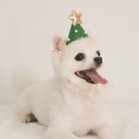 강아지 크리스마스 트리 모자 고깔