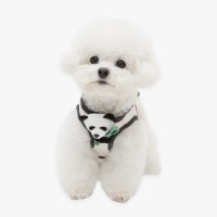 멍바오 하네스