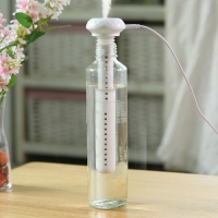 휴대용 여행용 탁상용 USB 미니 물병 가습기 P0000TJB