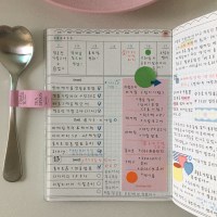 schedule diary (pvc cover포함)