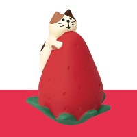 concombre 아깽이와 점보딸기