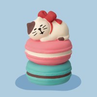 concombre 삼색마카롱 아깽이