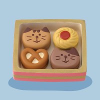 concombre 고양이 쿠키박스