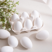 진짜 같은 달걀 모형 10개 (화이트)