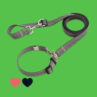 목줄과 리드줄을 하나로 러블리게이즈 올인원멀티리드줄