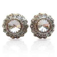 Crystal Circle Earring