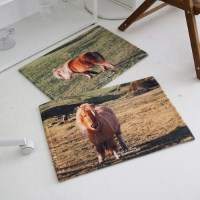 팜패밀리 포니 현관 화장실 욕실 미끄럼방지 극세사 발매트 45x65