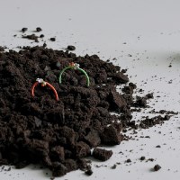 나는 행운이다 반지 / I'm Lucky Ring