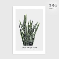 산세베리아 그림 미니 포스터 엽서 카드 식물 인테리어 벽꾸미기